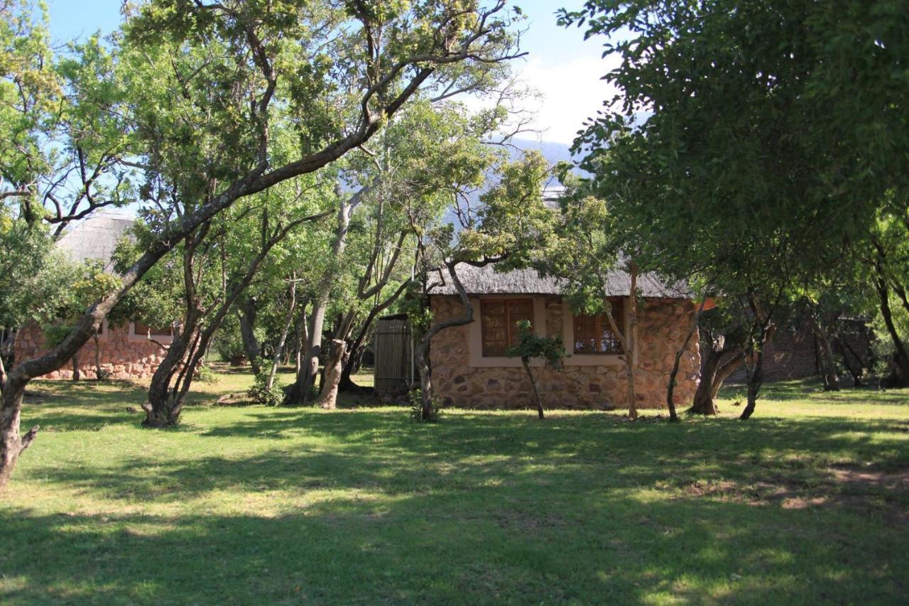 Villa Griffons Bush Camp à Thabazimbi Extérieur photo