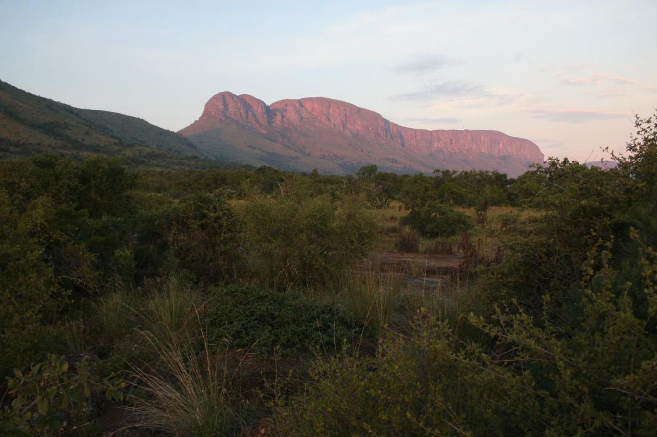 Villa Griffons Bush Camp à Thabazimbi Extérieur photo